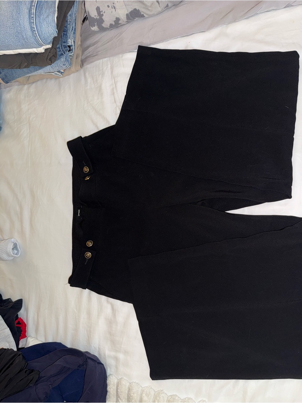 Express wide leg dress pants
